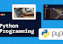 develop fix and automate python scripts apis and scraping